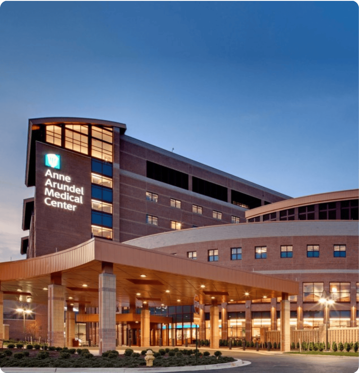 https://desygner-strapi-assets.s3.us-east-1.amazonaws.com/anne_arundel_medical_image_644d99808c.png